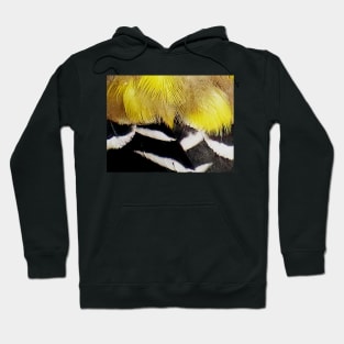 Feathers of a American Goldfinch Hoodie